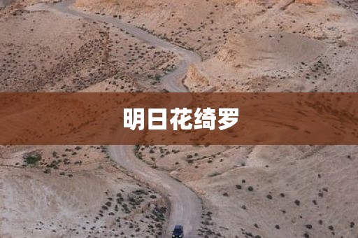 明日花绮罗