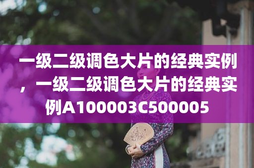 一级二级调色大片的经典实例，一级二级调色大片的经典实例A100003C500005