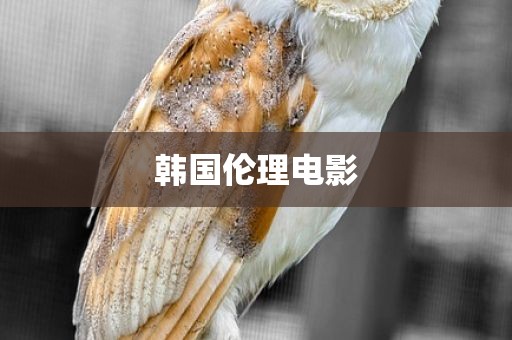 韩国伦理电影