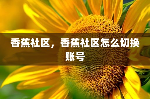 香蕉社区，香蕉社区怎么切换账号