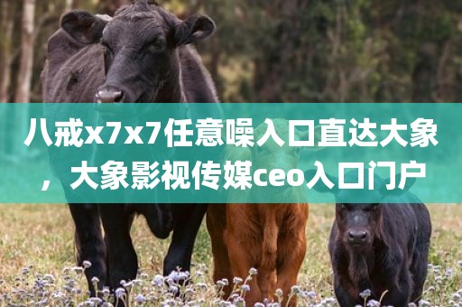 八戒x7x7任意噪入口直达大象，大象影视传媒ceo入口门户