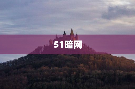 51暗网