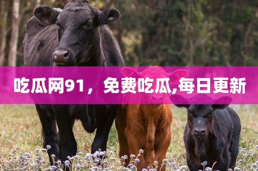 吃瓜网91，免费吃瓜,每日更新