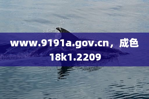 www.9191a.gov.cn，成色18k1.2209