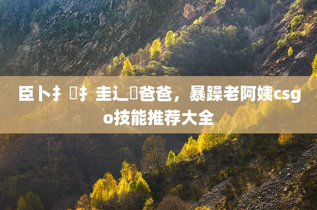 臣卜扌喿扌圭辶畐爸爸，暴躁老阿姨csgo技能推荐大全