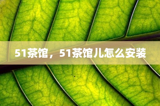 51茶馆，51茶馆儿怎么安装
