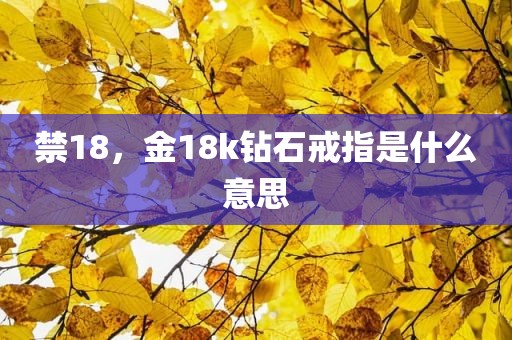 禁18，金18k钻石戒指是什么意思