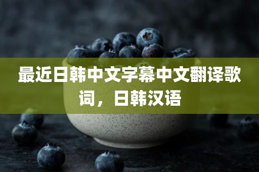 最近日韩中文字幕中文翻译歌词，日韩汉语
