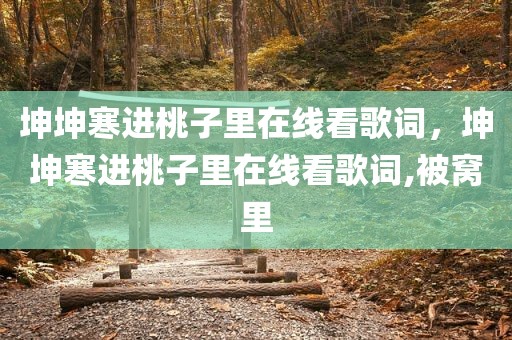坤坤寒进桃子里在线看歌词，坤坤寒进桃子里在线看歌词,被窝里