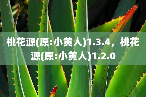 桃花源(原:小黄人)1.3.4，桃花源(原:小黄人)1.2.0
