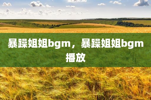 暴躁姐姐bgm，暴躁姐姐bgm播放