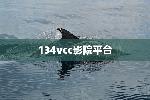 134vcc影院平台