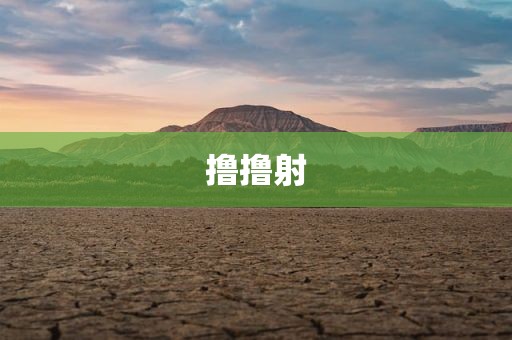 撸撸射