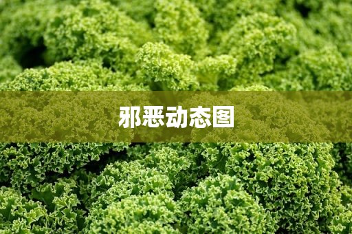 邪恶动态图