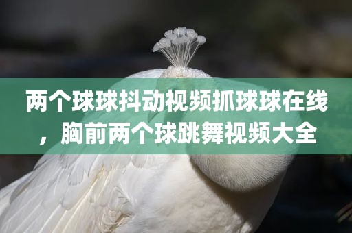 两个球球抖动视频抓球球在线，胸前两个球跳舞视频大全