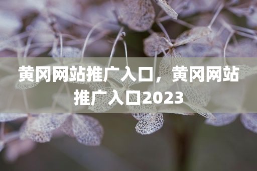 黄冈网站推广入口，黄冈网站推广入口2023