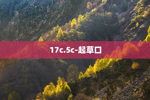 17c.5c-起草口