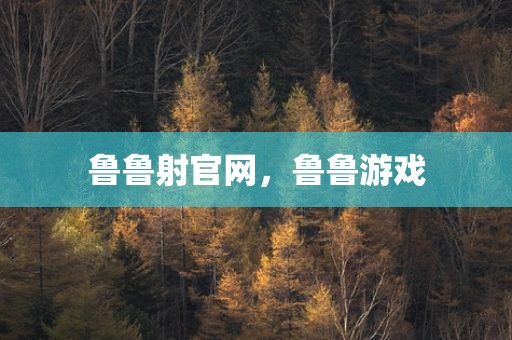 鲁鲁射官网，鲁鲁游戏