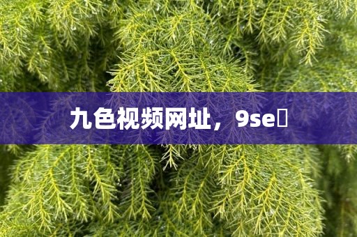 九色视频网址，9se 
