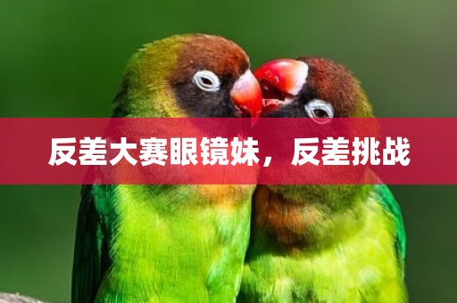 反差大赛眼镜妹，反差挑战