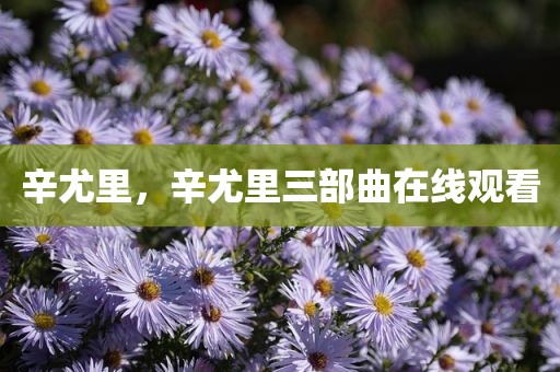 辛尤里，辛尤里三部曲在线观看