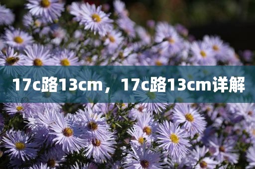 17c路13cm，17c路13cm详解