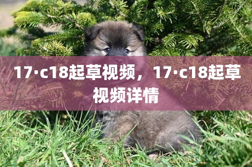 17·c18起草视频，17·c18起草视频详情