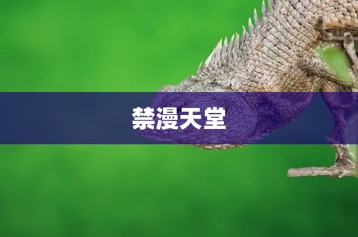 禁漫天堂