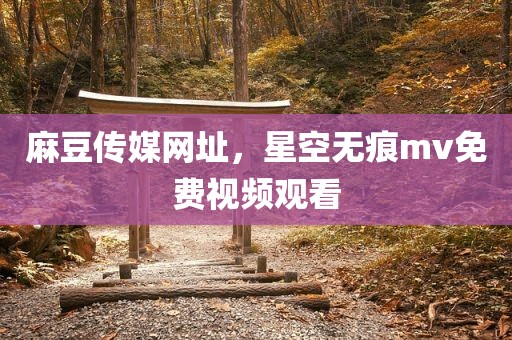 麻豆传媒网址，星空无痕mv免费视频观看