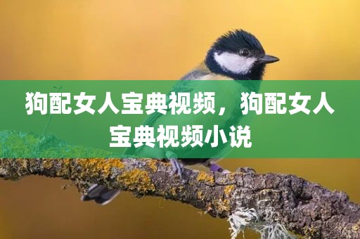 狗配女人宝典视频，狗配女人宝典视频小说
