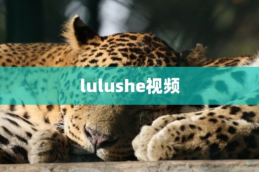 lulushe视频