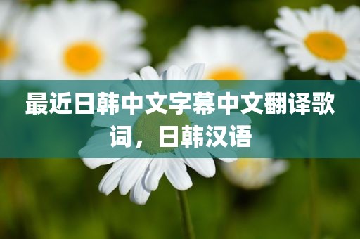 最近日韩中文字幕中文翻译歌词，日韩汉语