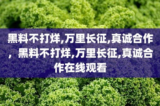 黑料不打烊,万里长征,真诚合作，黑料不打烊,万里长征,真诚合作在线观看