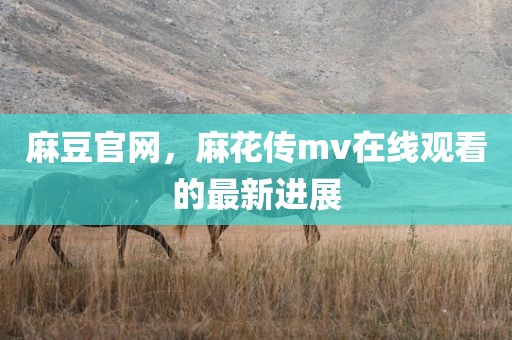 麻豆官网，麻花传mv在线观看的最新进展