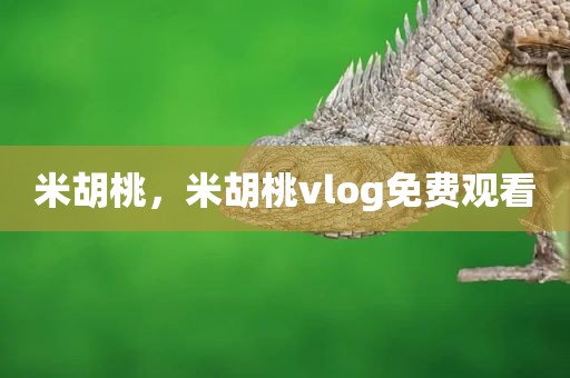米胡桃，米胡桃vlog免费观看
