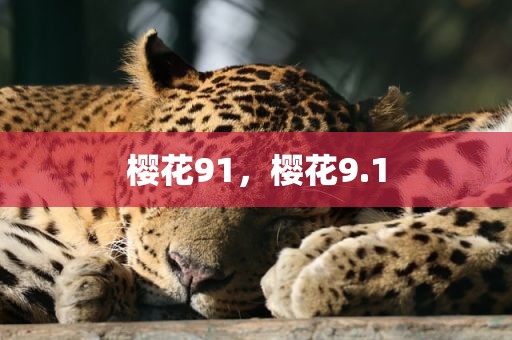 樱花91，樱花9.1