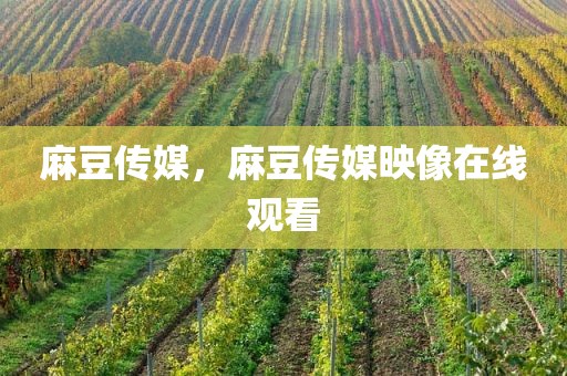 麻豆传媒，麻豆传媒映像在线观看