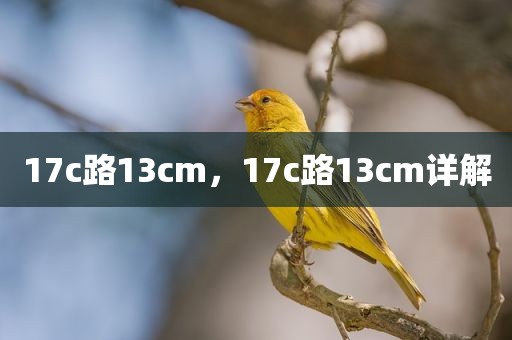 17c路13cm，17c路13cm详解