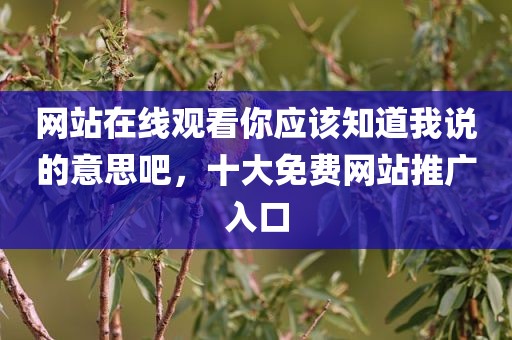 网站在线观看你应该知道我说的意思吧，十大免费网站推广入口