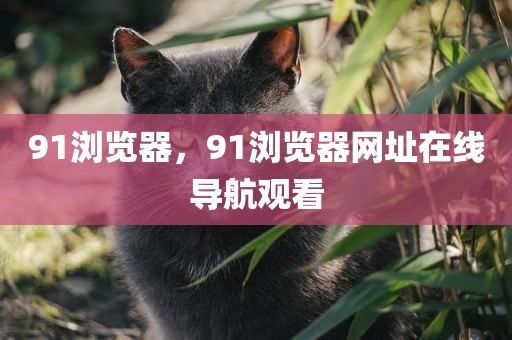 91浏览器，91浏览器网址在线导航观看
