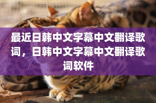 最近日韩中文字幕中文翻译歌词，日韩中文字幕中文翻译歌词软件
