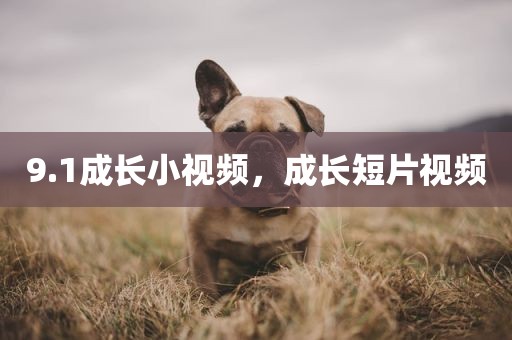 9.1成长小视频，成长短片视频