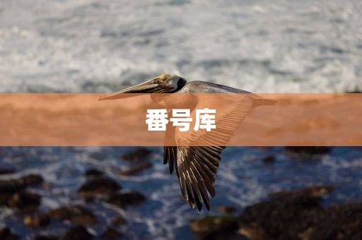 番号库
