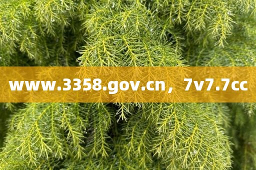 www.3358.gov.cn，7v7.7cc