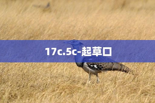 17c.5c-起草口