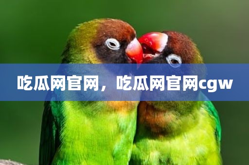 吃瓜网官网，吃瓜网官网cgw