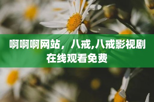 啊啊啊网站，八戒,八戒影视剧在线观看免费