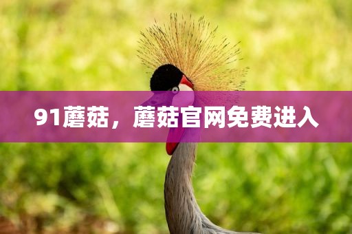 91蘑菇，蘑菇官网免费进入
