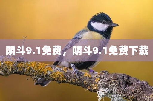 阴斗9.1免费，阴斗9.1免费下载