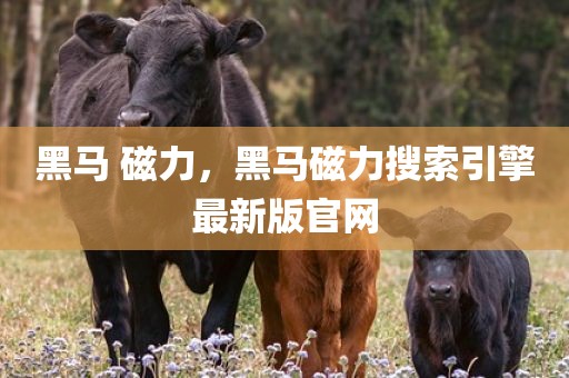 黑马 磁力，黑马磁力搜索引擎最新版官网